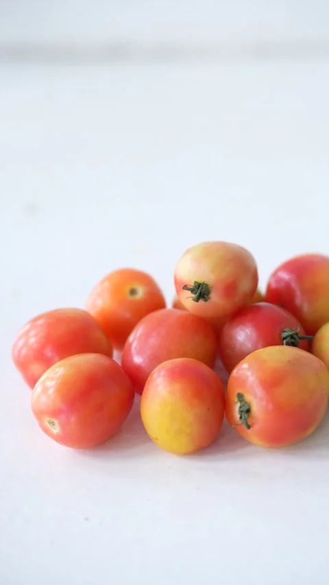 Group of fresh ripe red and orange tomatoes gathered on a clean white surface Stock Footage 344704723