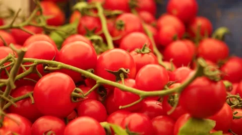 Group of fresh tomatoes at bazaar in Bostanli - Karsiyaka, Izmir. Stock Footage 55807746