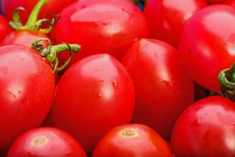 Group of fresh tomatoes Foto stock
