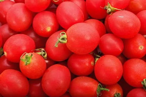 Group of fresh tomatoes Stock Photos