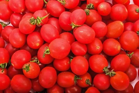Group of fresh tomatoes Stock Photos