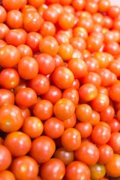 Group of fresh tomatoes Foto stock