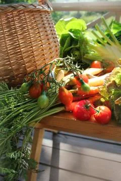 Group of fresh vegetables Stock Photos