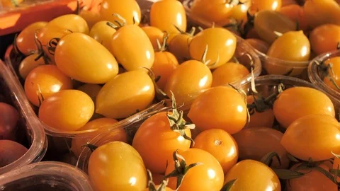 Group of fresh yellow cherry tomatoes on the marker in Israel. Jerusalem. Small Stock Footage 126151340