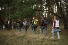 Group of happy hiker friends trekking as part of healthy lifestyle outdoors  activity Stock Photo by nd3000