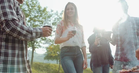 Group of friends cheering togetherness during the pic nic. shot in slow motion Stock Footage 92467458