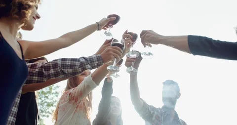 Group of friends cheering togetherness during the pic nic. shot in slow motion Stock Footage 92467776