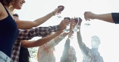 Group of friends cheering togetherness during the pic nic. shot in slow motion Stock Footage 92467853