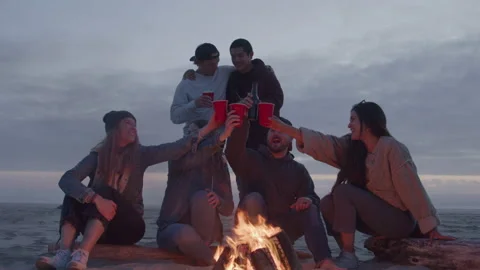 Group Of Friends Drinking At Beach Bonfire Stock Footage 219547240