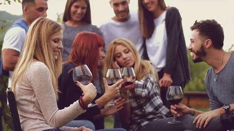 Group of friends having fun in the vineyard Stock Footage 73225426
