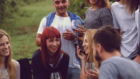 Group of friends having fun in the vineyard Stock Footage 73225685
