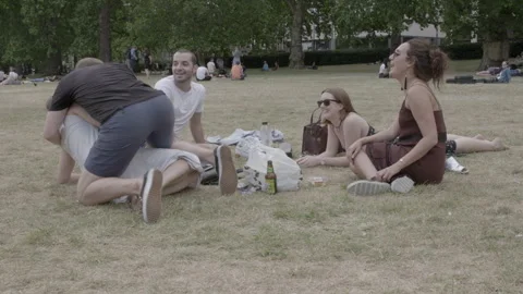 Group of Friends Having a Picnic on Grass in a City Park Stock Footage 344616908