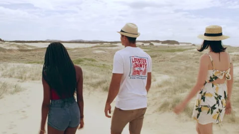 Group of friends having walking along sand dunes stopping to take in view of bea Video stock 199457449