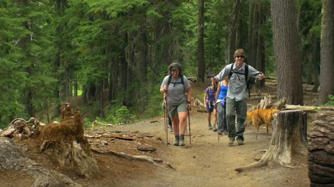 Group of friends hike together Stock Footage 58819837