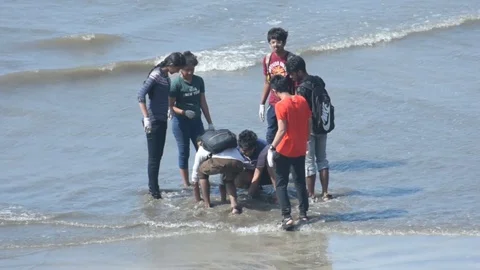 A group of friends plays with ball at beach. Stock Footage 127345073