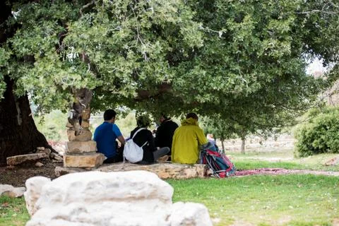 Group of Friends Relaxing Under a Tree after a Long Hike Stock Photos