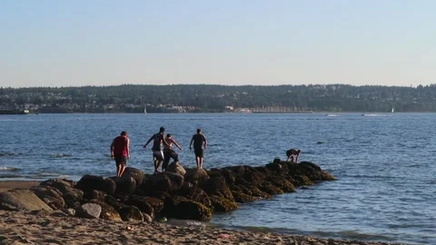 Group of friends scale some rocks on the tide Stock Footage 304777289