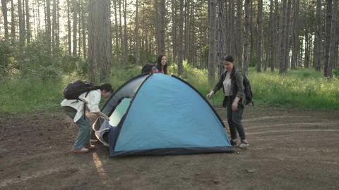 Group of friends setting up a tent in the forest Vídeo Stock 335842899