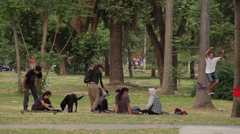 Group of friends socializing in the park, drinking mate and practicing slakline  Stock Footage 40049559