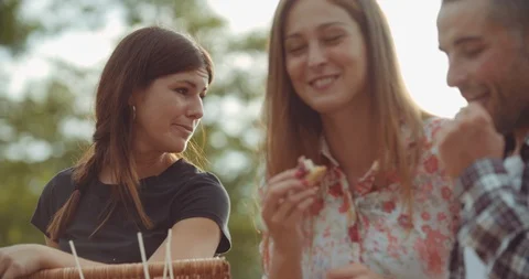 Group of friends spending time making a picnic and a barbeque. shot in slow moti Stock Footage 92469121