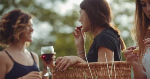 Group of friends spending time making a picnic and a barbeque. shot in slow moti Stock Footage 92469294