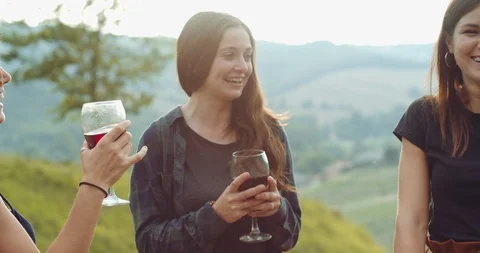 Group of friends spending time making a picnic and a barbeque. shot in slow moti Stock Footage 92469835
