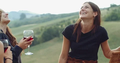 Group of friends spending time making a picnic and a barbeque. shot in slow moti Stock Footage 92470570