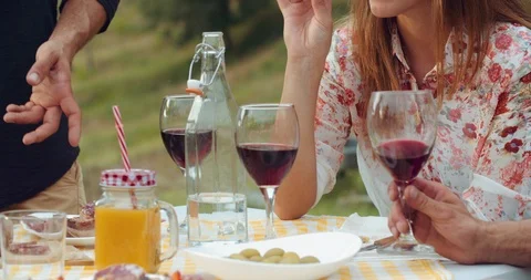 Group of friends spending time making a picnic and a barbeque. shot in slow moti Stock Footage 92470584