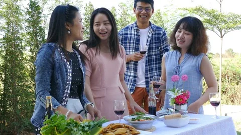 Group of friends talking drinking before a dinner party Stock Footage 73521778