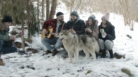 Group of friends of tourists talking in the forest Stock Footage 123522954