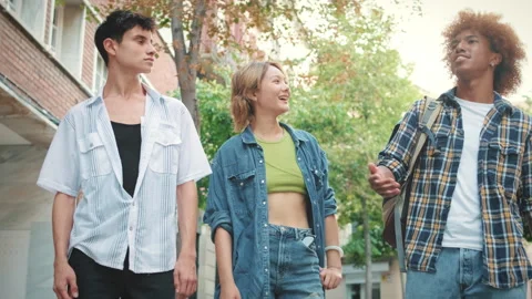Group of friends walking and talking in good mood, view from below Stock Footage 250843484