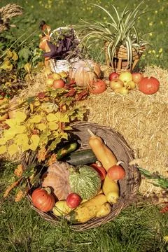 A group of fruit and vegetables on display Stock Photos