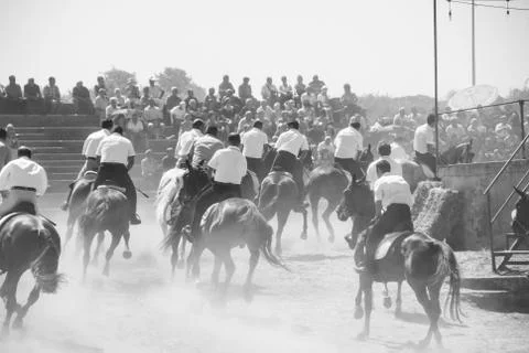 Group of galloping riders in a cloud of dust Stock Photos