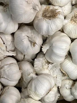 A group of garlic bulbs Stock Photos