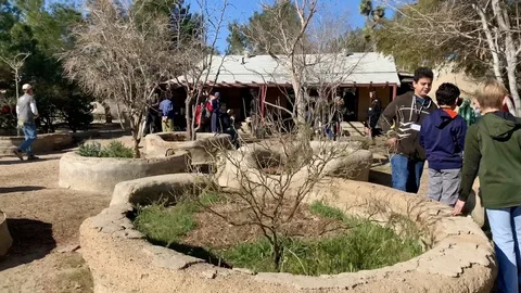 Group gathering Stock Footage 128415928