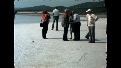 Group Gathering on Shoreline Stock Footage 278100908