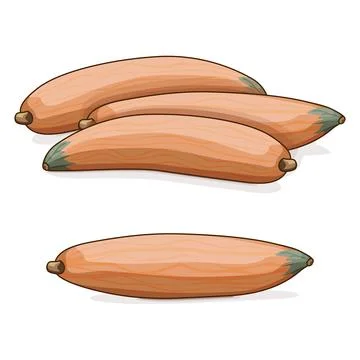Group of Georgia candy roaster squash. Clipart Stock Illustration
