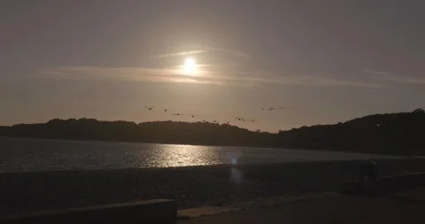 Group Of Gesse Flying Into The Sunset Video stock 205523549