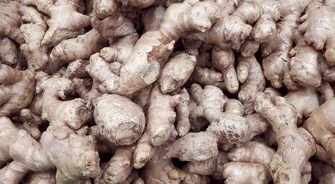 Group Of Gingers. Heap Of Ginger Root Stock Photos