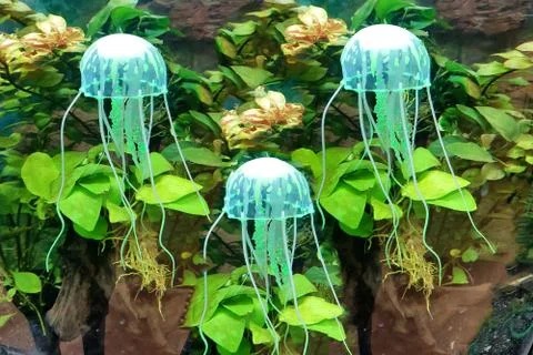 A group of glowing jellyfish Foto stock