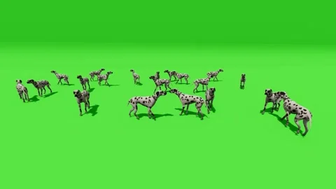 Group of Goats Stylized 3D Animals on Green Background Stock Footage 312972958