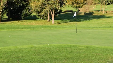 A Group Of Golf Player Walking Field Green Stock Footage 123371740