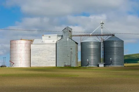 Group of grain storage silos 写真素材