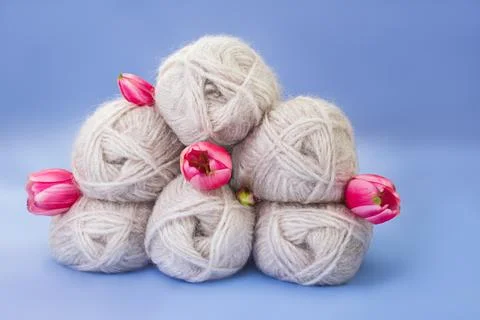 Group of gray wool of yarn and thread with pink tulip on blue background. K.. Stock Photos