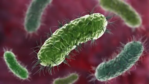 Group of green bacterias on red background. 3D illustration Stock Illustration