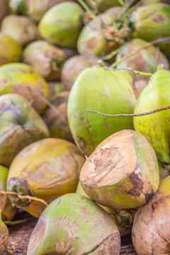 Group of green coconuts Stock Photos