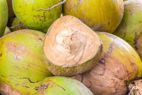 Group of green coconuts Stock Photos