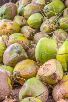 Group of green coconuts Foto stock