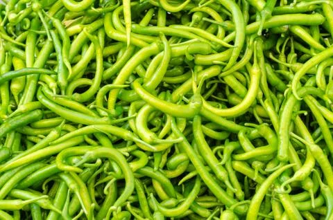 Group of green peppers. Stock Photos