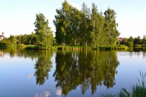A group of green trees is reflected in the mirror surface of the lake. Stock Photos